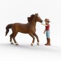 Miniature 4