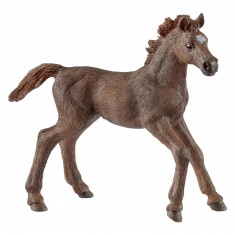 English Thoroughbred Foal Figurine