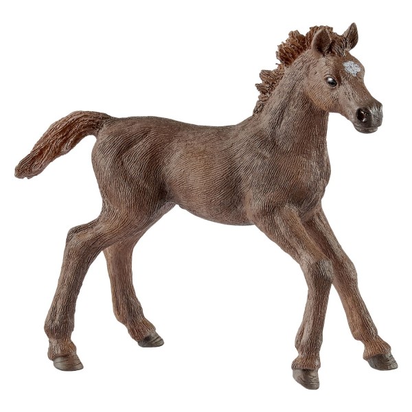 English Thoroughbred Foal Figurine - Schleich-13857