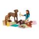 Miniature Horse Club Picnic Playset with Lisa