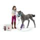 Miniature Playset Horse Care con el potro Trakehner