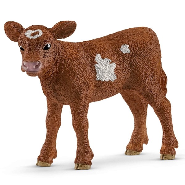 Figurine veau Texas Longhorn - Schleich-13881