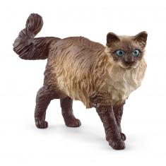 Figura de gato ragdoll