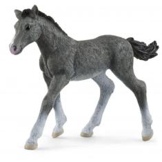 Figura de potro de Trakehnen