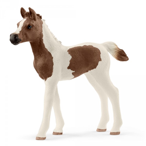 Figurine cheval : Poulain pintabian - Schleich-13839