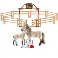 Horse Club Caja de Figuras de Caballos y Barrera