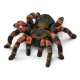 Miniature Spider figurine: Mygale