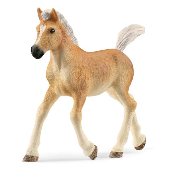 Horse Club figurine: Haflinger foal - Schleich-13951