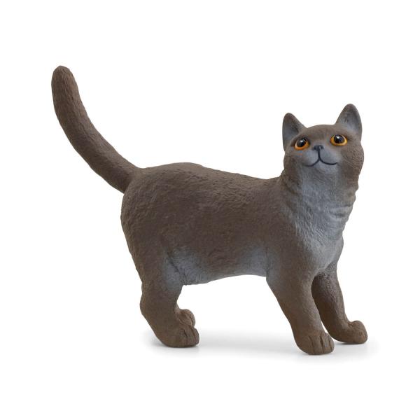 Farm World figurine: British shorthair - Schleich-13973