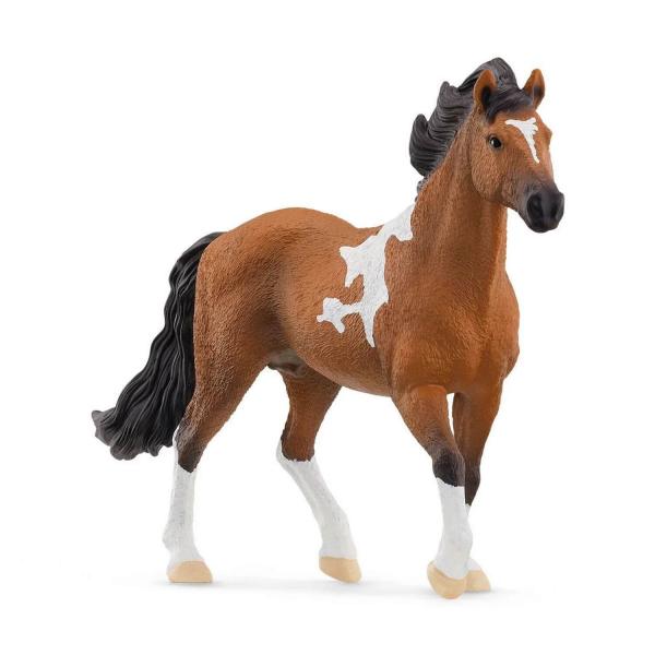 Étalon Mangalarga marchador - Schleich-13978