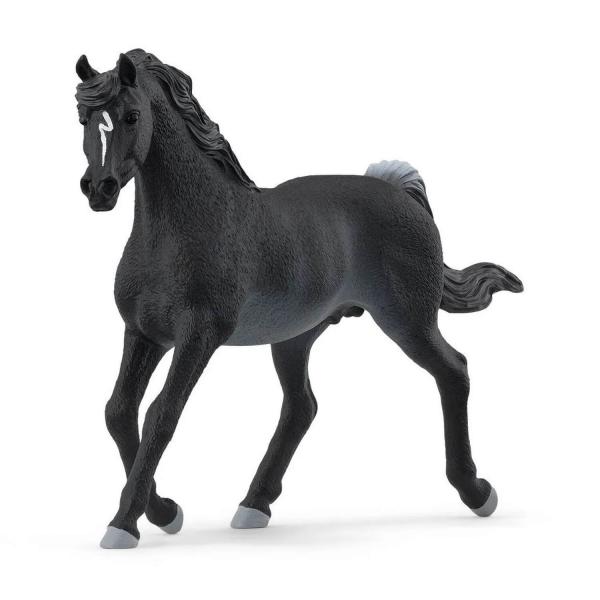 Figurine Horse Club : Étalon Arabe - Schleich-13981