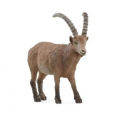 Figura de vida salvaje: Ibex