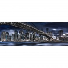 1000 pieces panoramic jigsaw puzzle: New York, dark night