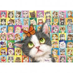 Puzzle 1000 pièces : Mimique de chat  