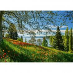 Puzzle DE 1000 PIEZAS: FLORACIÓN DE TULIPANES - ISLA MAINAU