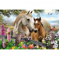 150 pieces puzzle: Mare and foal
