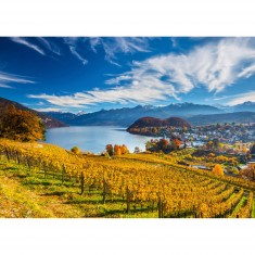 2000 Teile Puzzle: Weinberge