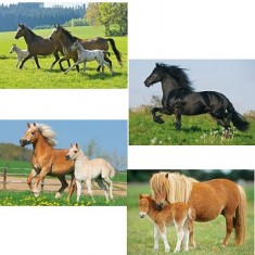 26 and 48 pieces puzzle - Box of 4 puzzles: Horses