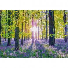 1000 piece puzzle: Delicate hyacinths in the forest