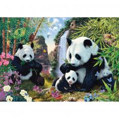 Puzzle mit 500 Teilen: Die Pandafamilie am Wasserfall