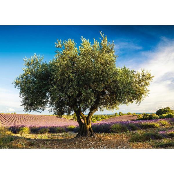 1000 Teile Puzzle: Olivenbaum in der Provence - Schmidt-58357