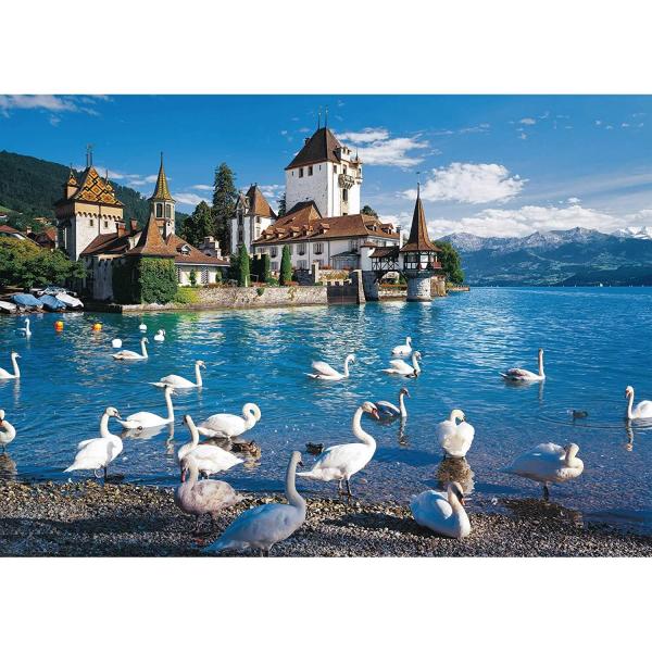 Puzzle de 1000 piezas: cisnes en la orilla - Schmidt-58367