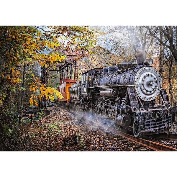Puzzle de 1000 piezas: La fascinación del ferrocarril - Schmidt-58377