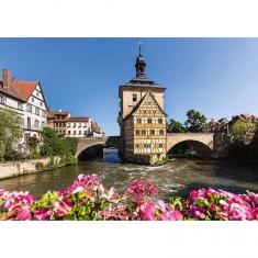 Puzzle de 1000 piezas: Bamberg, Regnitz y antiguo anfitrión
