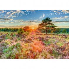 1000 piece puzzle: Heather at sunset