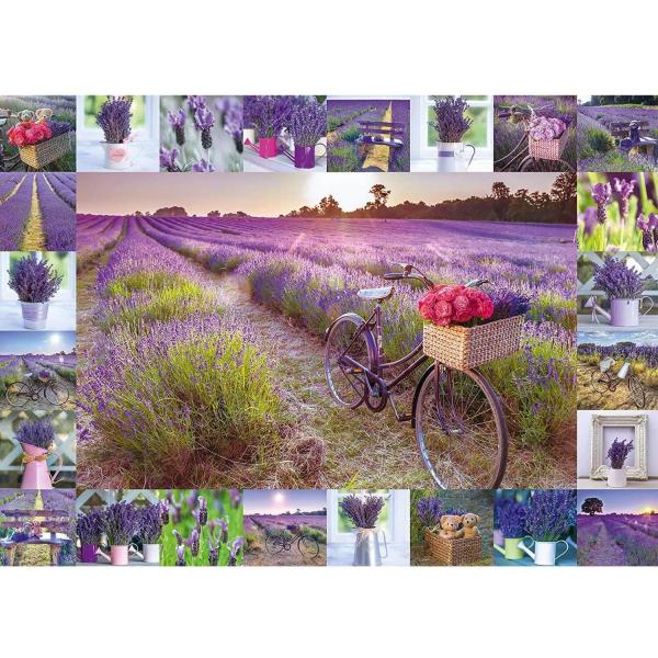 1000 pieces puzzle: Lavender scent - Schmidt-59634