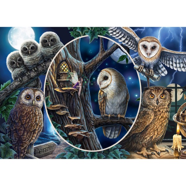 1000 pieces puzzle: Mysterious owls - Schmidt-59667