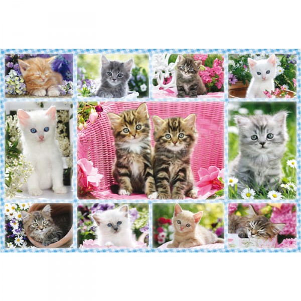 100 piece puzzle: Kittens - Schmidt-56135