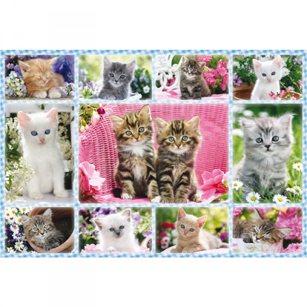 100 pieces puzzle: Kittens - Schmidt-56135