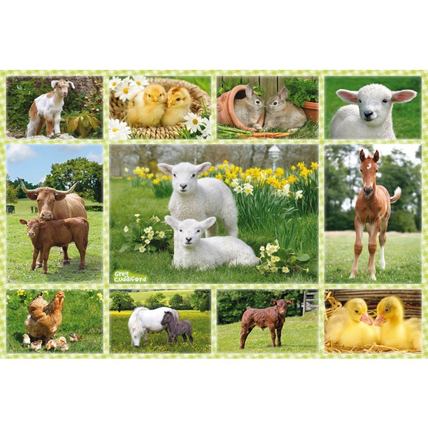 100 pieces puzzle: Young farm animals - Schmidt-56194