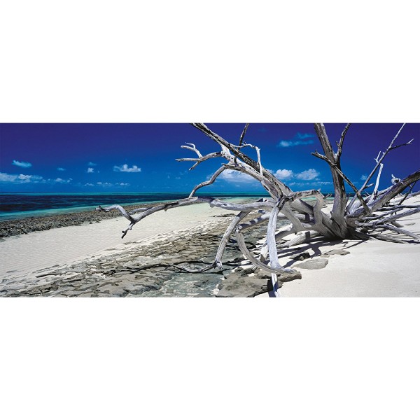 136 pieces panoramic puzzle: Green Island, Australia by Mark Gray - Schmidt-59362
