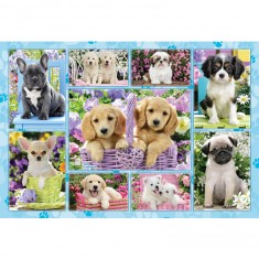 200 piece puzzle: Puppies