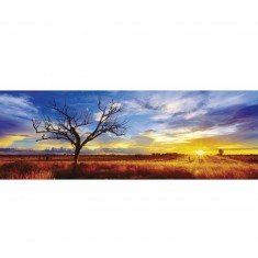Mark Gray 1000 pieces panoramic jigsaw puzzle: Desert Oak, Australia