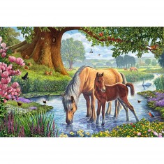 Puzzle 150 pièces : Chevaux dans le ruisseau