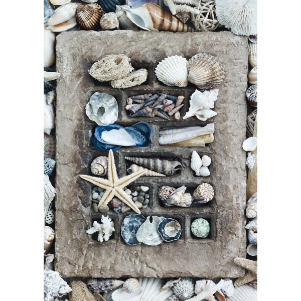 Puzzle 500 pièces : Trésors de la plage - Schmidt-58298