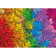 Puzzle 1500 pièces : Feuilles colorées