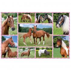 150 piece puzzle: Dream of horses