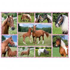 Puzzle 150 pièces : Rêve de chevaux