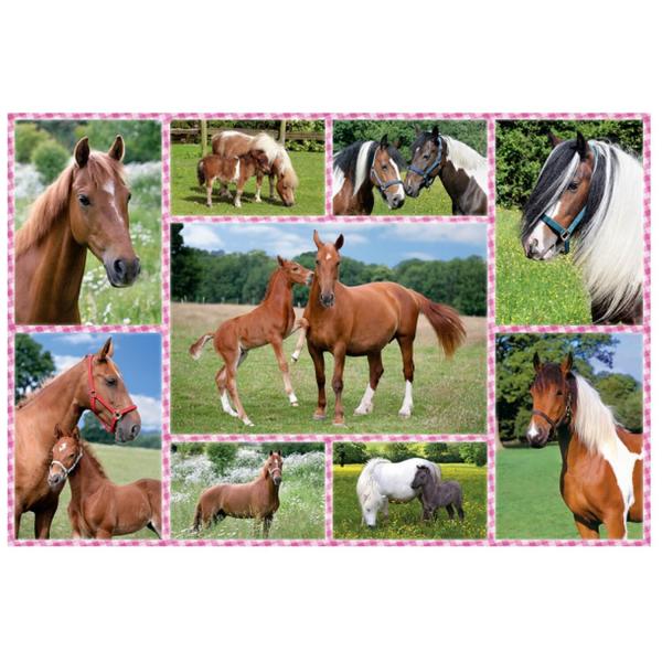 Puzzle de 150 piezas: Sueño con caballos - Schmidt-56269