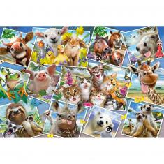 200 pieces puzzle: Animal selfies