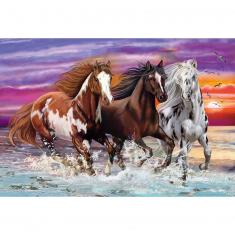 200 pieces puzzle: Trio of wild horses