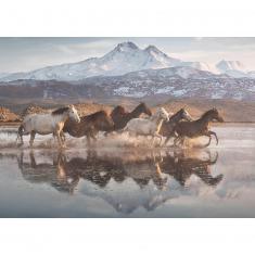 1000 pieces puzzle: Horses in Cappadocia