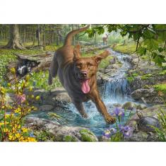 Puzzle 1000 pieces : Labrador retriever on a walk in spring