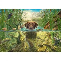 1000-Teile-Puzzle: Schwimmender schokoladenbrauner Labrador