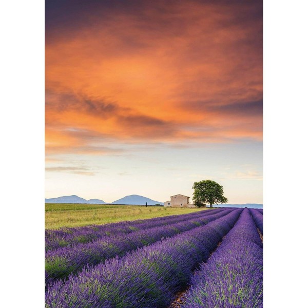 500 pieces puzzle: Lavender field, Provence - Schmidt-58364