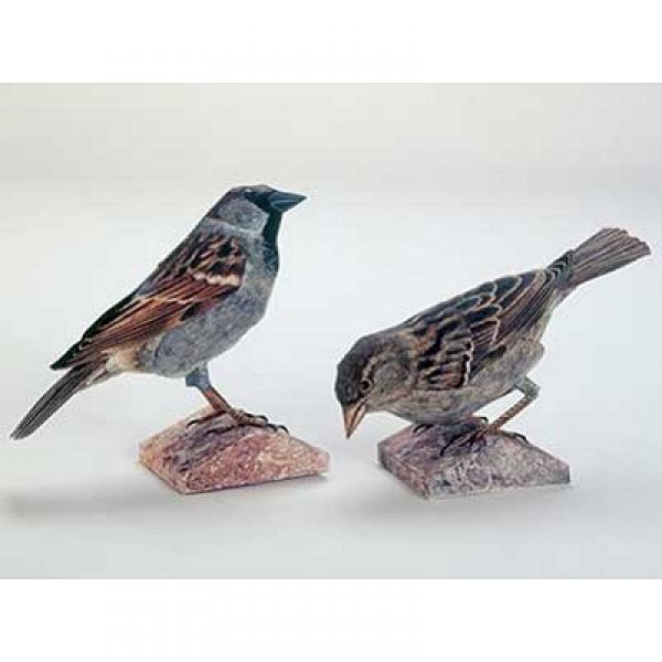 Maquette en carton : Couple d'oiseaux - Schreiber-Bogen-A48